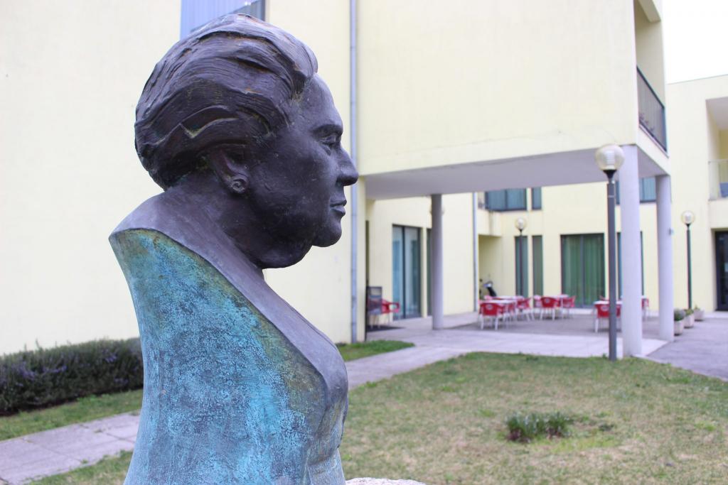 Complexo Social de Faj&otilde;es